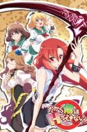Dakara Boku wa, H ga Dekinai + OVA (UC)